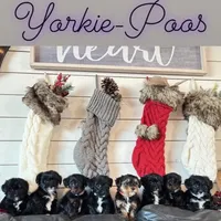 processed/e01a9f48-9184-4656-94bb-a62407ce55f8/facility/b41c19f6-eb53-4a82-b747-607bc9ab29cd