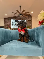 processed/e01a9f48-9184-4656-94bb-a62407ce55f8/listing/e826e5ea-86ac-4f02-bd59-0f8ffd2e371b/44b26d69-6e58-4bc3-aec2-32a40fe627f5