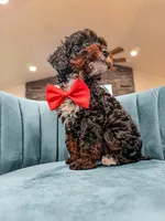 processed/e01a9f48-9184-4656-94bb-a62407ce55f8/listing/e826e5ea-86ac-4f02-bd59-0f8ffd2e371b/5b93206c-54dc-45c1-8916-b624ee8e1892