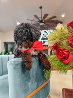 processed/e01a9f48-9184-4656-94bb-a62407ce55f8/listing/e826e5ea-86ac-4f02-bd59-0f8ffd2e371b/894f8bba-9cd9-45e4-8a3c-fdfd35999f77