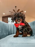 processed/e01a9f48-9184-4656-94bb-a62407ce55f8/listing/e826e5ea-86ac-4f02-bd59-0f8ffd2e371b/9c65c695-deda-471c-82ff-0eb731dd0736