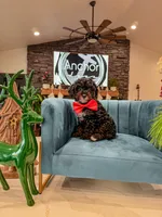 processed/e01a9f48-9184-4656-94bb-a62407ce55f8/listing/e826e5ea-86ac-4f02-bd59-0f8ffd2e371b/b11ebbc6-a154-4cf8-b66a-f5c602f4d233