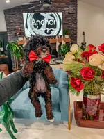 processed/e01a9f48-9184-4656-94bb-a62407ce55f8/listing/e826e5ea-86ac-4f02-bd59-0f8ffd2e371b/db7c20dc-9c19-43bd-bd25-32eef497886f