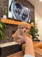 processed/e01a9f48-9184-4656-94bb-a62407ce55f8/listing/f35ec228-369b-4028-93f5-8339ba21ac32/21c84f4e-24ac-47dc-8a63-5dd9521d70fd