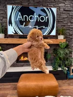 processed/e01a9f48-9184-4656-94bb-a62407ce55f8/listing/f35ec228-369b-4028-93f5-8339ba21ac32/9339cb0a-1f46-40df-9866-db6457127d5f