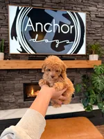 processed/e01a9f48-9184-4656-94bb-a62407ce55f8/listing/f35ec228-369b-4028-93f5-8339ba21ac32/b46f422b-05cf-4b27-94bb-41b774232430