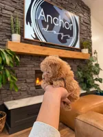 processed/e01a9f48-9184-4656-94bb-a62407ce55f8/listing/f35ec228-369b-4028-93f5-8339ba21ac32/c4f36ef7-cf6f-4bbb-9936-88142991beb1