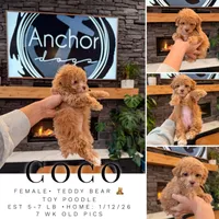 processed/e01a9f48-9184-4656-94bb-a62407ce55f8/listing/f35ec228-369b-4028-93f5-8339ba21ac32/cfa4e1a6-167d-436e-96ce-2f8ef8569be0