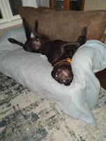 processed/e01e6124-0b4d-4911-8653-529d330deab4/facility/18ddc23e-3650-4261-9808-635a9d5edf98