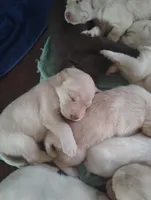 processed/e01e6124-0b4d-4911-8653-529d330deab4/facility/221b2249-4b45-42f5-8dda-94706d1dab89