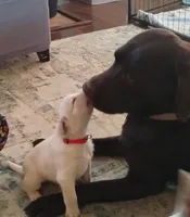 processed/e01e6124-0b4d-4911-8653-529d330deab4/facility/326e2b71-2010-4a24-97e3-9d257a168aa2