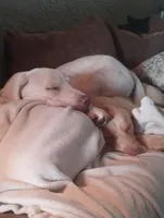 processed/e01e6124-0b4d-4911-8653-529d330deab4/facility/5fb94c90-4aa8-441d-b8f4-d9f5aafcd0eb