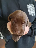 processed/e01e6124-0b4d-4911-8653-529d330deab4/facility/84d14dd4-c3d3-4e98-9954-840febcf22a9