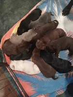 processed/e01e6124-0b4d-4911-8653-529d330deab4/facility/b2dd3958-15c7-435a-baad-4d7403784770