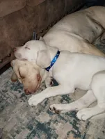 processed/e01e6124-0b4d-4911-8653-529d330deab4/facility/b8319c21-ea95-4c15-99c4-4f1109431aa5