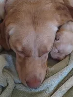 processed/e01e6124-0b4d-4911-8653-529d330deab4/facility/d265eee0-6f47-4614-9403-da4f8c196136