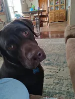 processed/e01e6124-0b4d-4911-8653-529d330deab4/facility/dd1f2ad9-5393-4843-98f6-18f35c2d491d