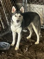 processed/e026d6d6-820e-4f83-9168-f9d39d0eb191/listing/2187925c-fec8-4ff3-959f-3c872f6f0268/a828f9bb-a25e-4882-8dfc-eb1459e27a83