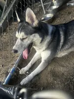 processed/e026d6d6-820e-4f83-9168-f9d39d0eb191/listing/2187925c-fec8-4ff3-959f-3c872f6f0268/ab0bdbb5-78bc-4234-8b20-641fdf252fef