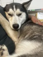 processed/e026d6d6-820e-4f83-9168-f9d39d0eb191/listing/2187925c-fec8-4ff3-959f-3c872f6f0268/b231e68d-f6a6-477e-811a-ab016f1db207