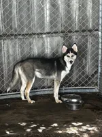 processed/e026d6d6-820e-4f83-9168-f9d39d0eb191/listing/2187925c-fec8-4ff3-959f-3c872f6f0268/e0e276d3-d049-40ab-9b99-c75b4876710c