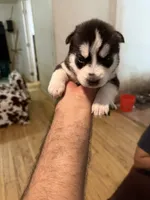 processed/e026d6d6-820e-4f83-9168-f9d39d0eb191/listing/22fb568f-969c-4534-b3b7-1eb458e9828b/126ddfea-55dc-4e1a-a7ba-99e3530dfca3