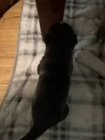 processed/e026d6d6-820e-4f83-9168-f9d39d0eb191/listing/22fb568f-969c-4534-b3b7-1eb458e9828b/385b38f1-b403-4511-8ade-4f92007d5b3d