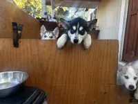 processed/e026d6d6-820e-4f83-9168-f9d39d0eb191/listing/22fb568f-969c-4534-b3b7-1eb458e9828b/b8c1b3ba-c5a2-46f0-ba34-373f42d10205