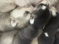 processed/e026d6d6-820e-4f83-9168-f9d39d0eb191/listing/3ea53e2b-f8d1-40f5-99e5-85945eac19e1/3869d74b-f94b-495e-a57d-7b4f21eff59f