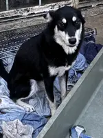 processed/e026d6d6-820e-4f83-9168-f9d39d0eb191/listing/4301b656-4089-409f-b02e-f70c70e4f9e7/eb0550b0-7e6c-47d8-a026-ee27404f2dec