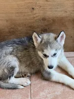 processed/e026d6d6-820e-4f83-9168-f9d39d0eb191/listing/4be038a6-fae1-4a6d-b470-36bd681884a1/b6a34b37-c130-4ed5-8b11-ca5e76a20e28