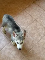 processed/e026d6d6-820e-4f83-9168-f9d39d0eb191/listing/4be038a6-fae1-4a6d-b470-36bd681884a1/cb7e72d3-4e39-4e1f-9f77-23e1d111b31f