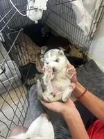 processed/e026d6d6-820e-4f83-9168-f9d39d0eb191/listing/5622fbfe-3dde-4d90-8525-ffb30142bd5d/7cd18ebe-e8a4-405e-974e-79dfa6c11f70