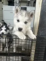 processed/e026d6d6-820e-4f83-9168-f9d39d0eb191/listing/5622fbfe-3dde-4d90-8525-ffb30142bd5d/c7675ad0-f9cf-4726-a539-34d455b9ba6d