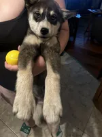 processed/e026d6d6-820e-4f83-9168-f9d39d0eb191/listing/91c0c00f-0f1b-4c81-9391-5ce75175a7bb/4d15ca34-84a1-49c5-aa19-ed6d7933954e