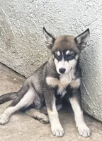 processed/e026d6d6-820e-4f83-9168-f9d39d0eb191/listing/91c0c00f-0f1b-4c81-9391-5ce75175a7bb/6f99e881-7d6e-497f-a2f7-3be849170ea7