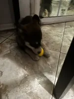 processed/e026d6d6-820e-4f83-9168-f9d39d0eb191/listing/91c0c00f-0f1b-4c81-9391-5ce75175a7bb/8723b01d-4f24-4321-80ca-946d45c18b2d