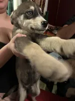 processed/e026d6d6-820e-4f83-9168-f9d39d0eb191/listing/91c0c00f-0f1b-4c81-9391-5ce75175a7bb/91d6b63d-2ed1-4b31-9e1f-e4d509ed7639