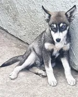 processed/e026d6d6-820e-4f83-9168-f9d39d0eb191/listing/91c0c00f-0f1b-4c81-9391-5ce75175a7bb/cc138cbf-153d-4a8c-8fba-d78f1c3e39fc