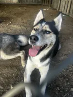 processed/e026d6d6-820e-4f83-9168-f9d39d0eb191/listing/96206865-9131-4332-9e41-038f78ff72e7/3fd6ec7b-5a8d-41e0-b724-56ded19ce6fa