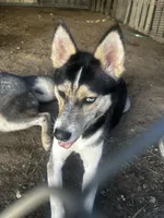 processed/e026d6d6-820e-4f83-9168-f9d39d0eb191/listing/96206865-9131-4332-9e41-038f78ff72e7/75dca364-55e6-468c-97c6-14b9473a900a