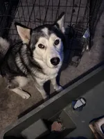 processed/e026d6d6-820e-4f83-9168-f9d39d0eb191/listing/9c3abc42-63d2-45c7-ac45-10b2f5305988/70a21f7c-8032-42cb-8769-06d33603a455