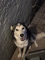 processed/e026d6d6-820e-4f83-9168-f9d39d0eb191/listing/9c3abc42-63d2-45c7-ac45-10b2f5305988/dc077c12-f375-495e-a837-bb01b9efb784