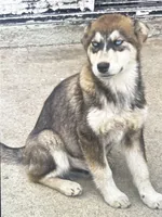 processed/e026d6d6-820e-4f83-9168-f9d39d0eb191/listing/ad2e2d1b-c11b-4295-b0fe-df4f281ea442/d0d09e0a-4c4a-4965-90cf-20069daf648c