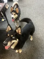 processed/e026d6d6-820e-4f83-9168-f9d39d0eb191/listing/b718d7f6-0234-44f2-a703-c003adc6d06a/443996d1-a668-4a10-9b49-5742024ee66d