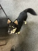 processed/e026d6d6-820e-4f83-9168-f9d39d0eb191/listing/b718d7f6-0234-44f2-a703-c003adc6d06a/5a979446-a86c-494f-b3a9-5800fe2e0495