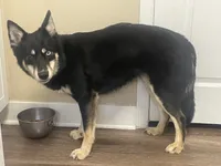 processed/e026d6d6-820e-4f83-9168-f9d39d0eb191/listing/b718d7f6-0234-44f2-a703-c003adc6d06a/6d399f51-5780-4a46-8030-4affb21650c7