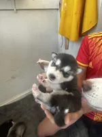 processed/e026d6d6-820e-4f83-9168-f9d39d0eb191/listing/e65fa6c9-bdc5-446d-bad2-6b72e0b5960b/73dd4c78-d779-4bff-855b-db398cf4d7c0