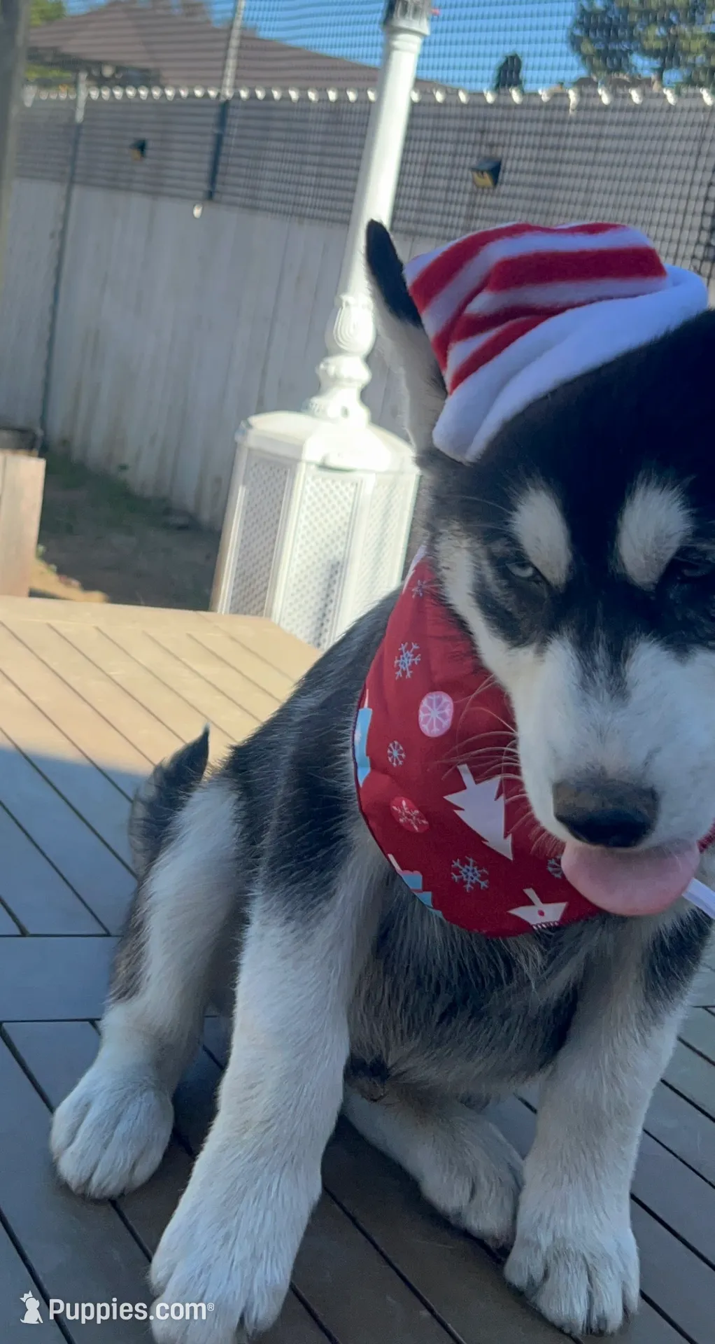 processed/e026d6d6-820e-4f83-9168-f9d39d0eb191/listing/e65fa6c9-bdc5-446d-bad2-6b72e0b5960b/76562b6f-7d31-436c-8422-cff417524cf6