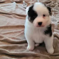 processed/e033d3ba-4c55-42ec-bd2f-19b6c9c5608b/facility/2422bfad-0adc-4c7c-b654-d0fe644860c0